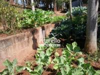 Chácara em Monte Alegre