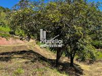 TERRENO EM MONTE ALEGRE DO SUL