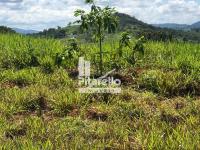 Terreno - Fazenda Arcadas