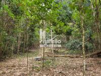 Sítio na Boa Vereda