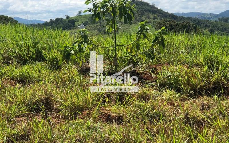 Terreno - Fazenda Arcadas