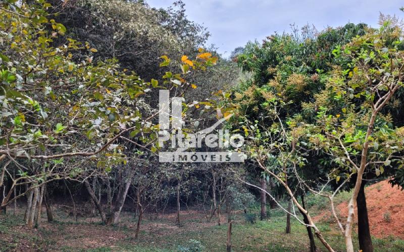 Sítio na Boa Vereda