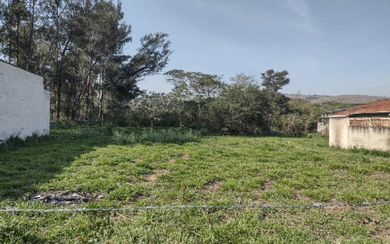 Terreno Silvestre 1