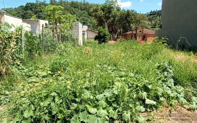 Terreno Jardim Silvestre 2